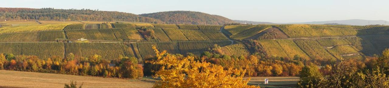 Gaestehaus Zum Goldberg Dorsheim 外观 照片